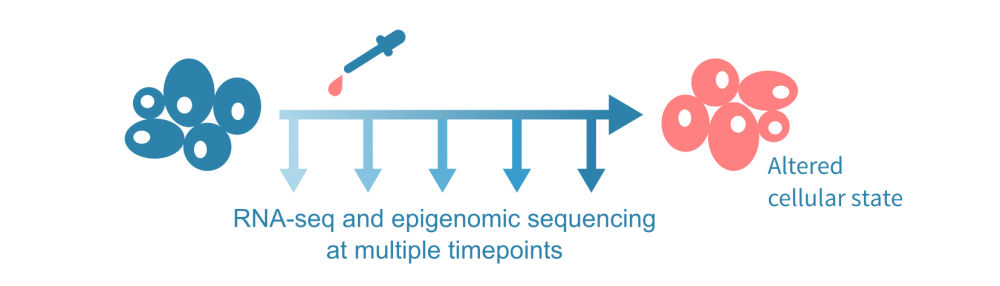 multiomic_ngs_experiments.png