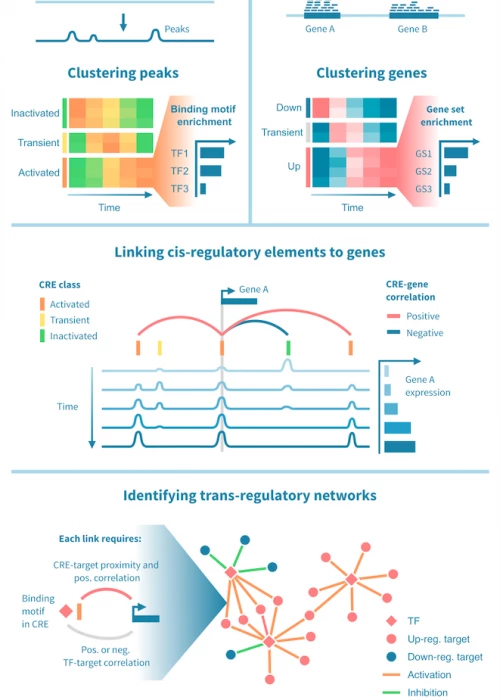 Integrative analysis of RNA-seq and ChIP-seq data