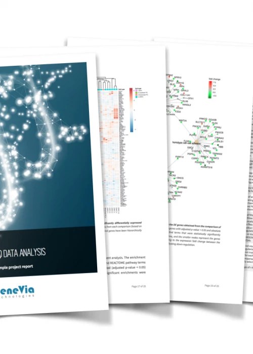 Why do you need a detailed bioinformatics report?