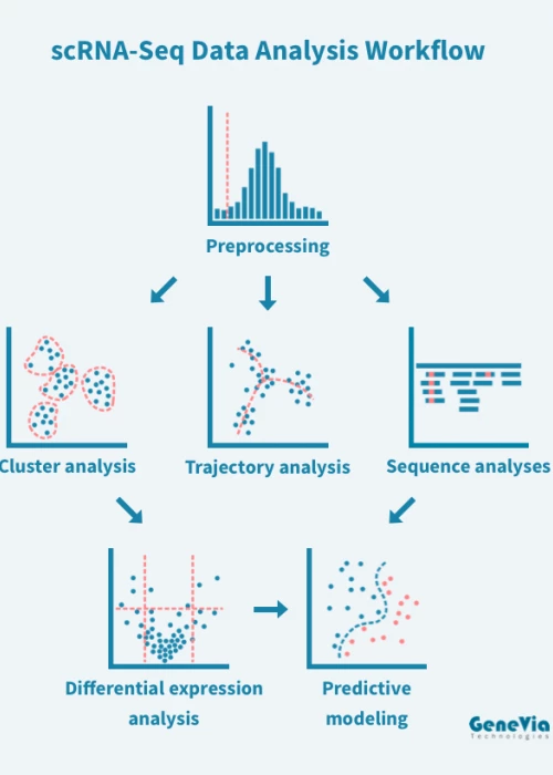 Single-Cell RNA Sequencing Data Analysis