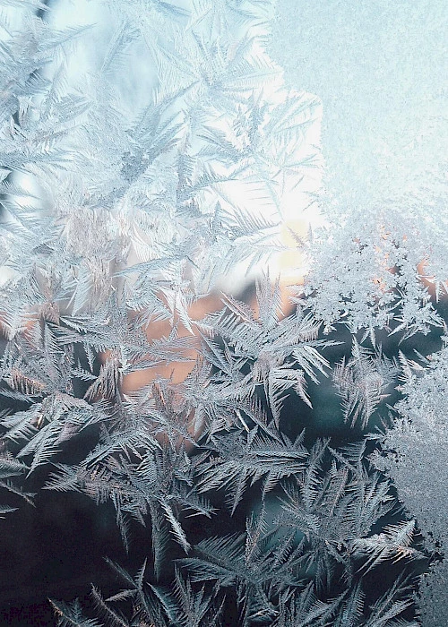 Holiday greetings from the Genevia Technologies team!