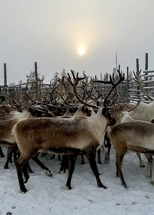 Bioinformatics as a Service: a fast track to new discoveries