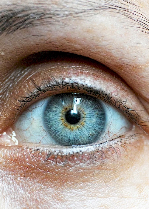 The Centre for Eye Research at Oslo University Hospital