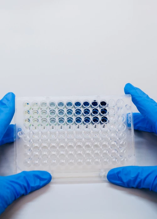 Speeding up the commercialization of an extracellular vesicle platform with bioinformatics