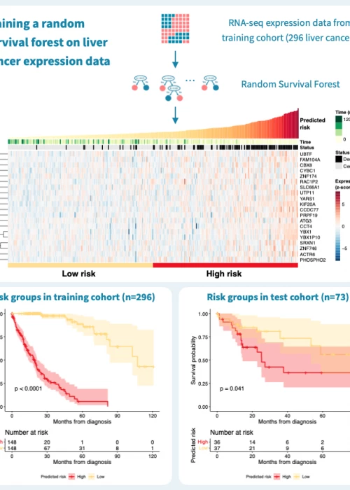 Predicting cancer survival with machine learning