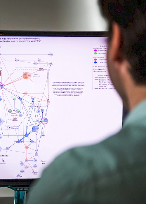 Bioinformatics consulting