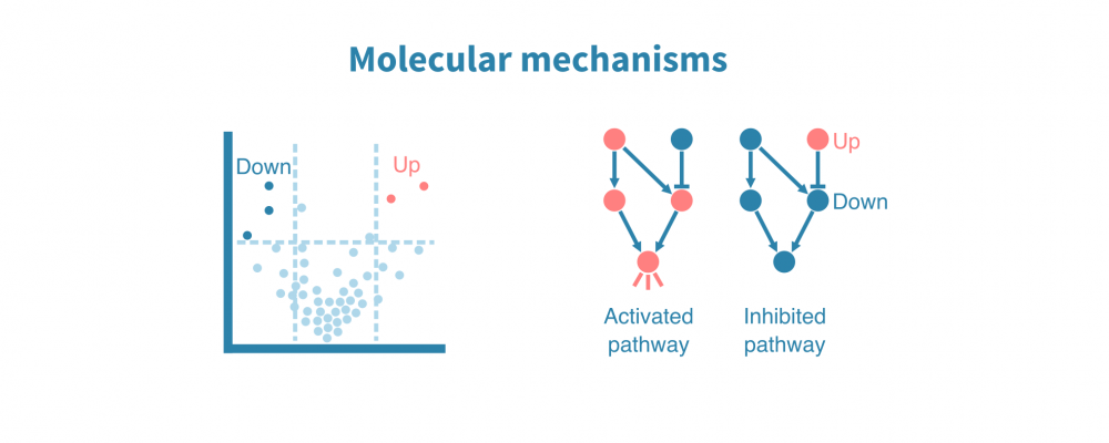 cancer_molecular_mechanisms.png