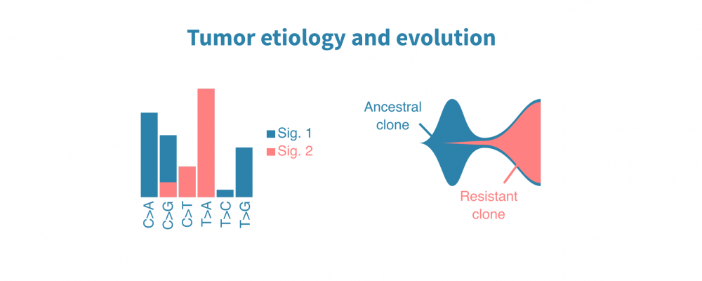 tumor_etiology_and_evolution.png