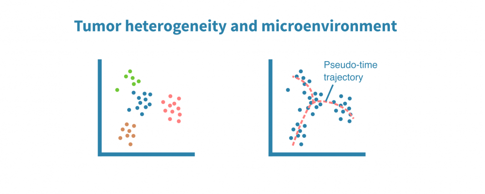 tumor_heterogeneity_and_microenvironment.png