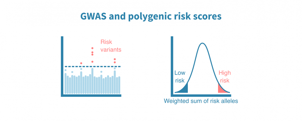 gwas_and_prs.png