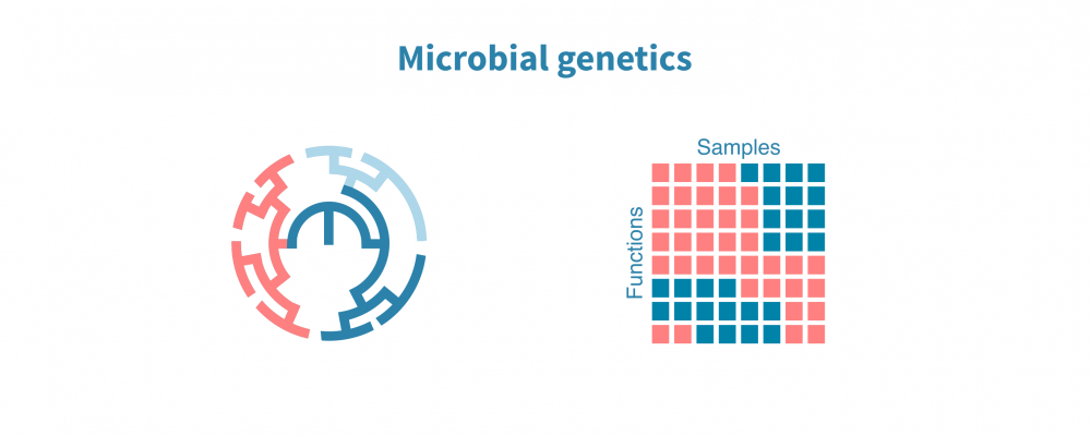 microbial_genetics.png