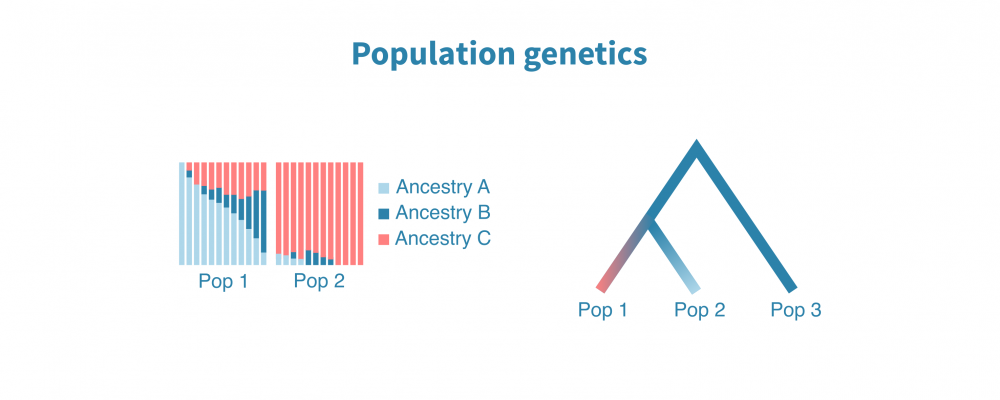 population_genetics.png
