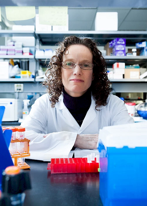 Discovering epigenetic biomarkers of chronic back pain