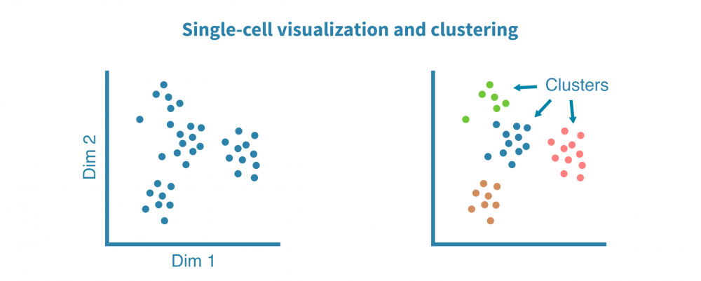 scrna_seq_exploratory_analysis.png