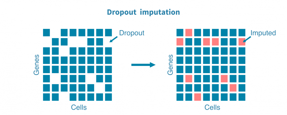 scrna_seq_imputation.png