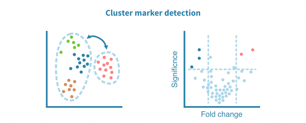 scrna_seq_marker_detection.png