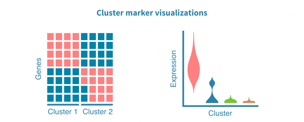 scrna_seq_marker_visualization.png