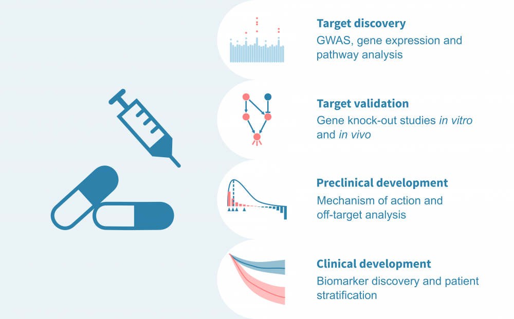drug_development_bioinformatics.png