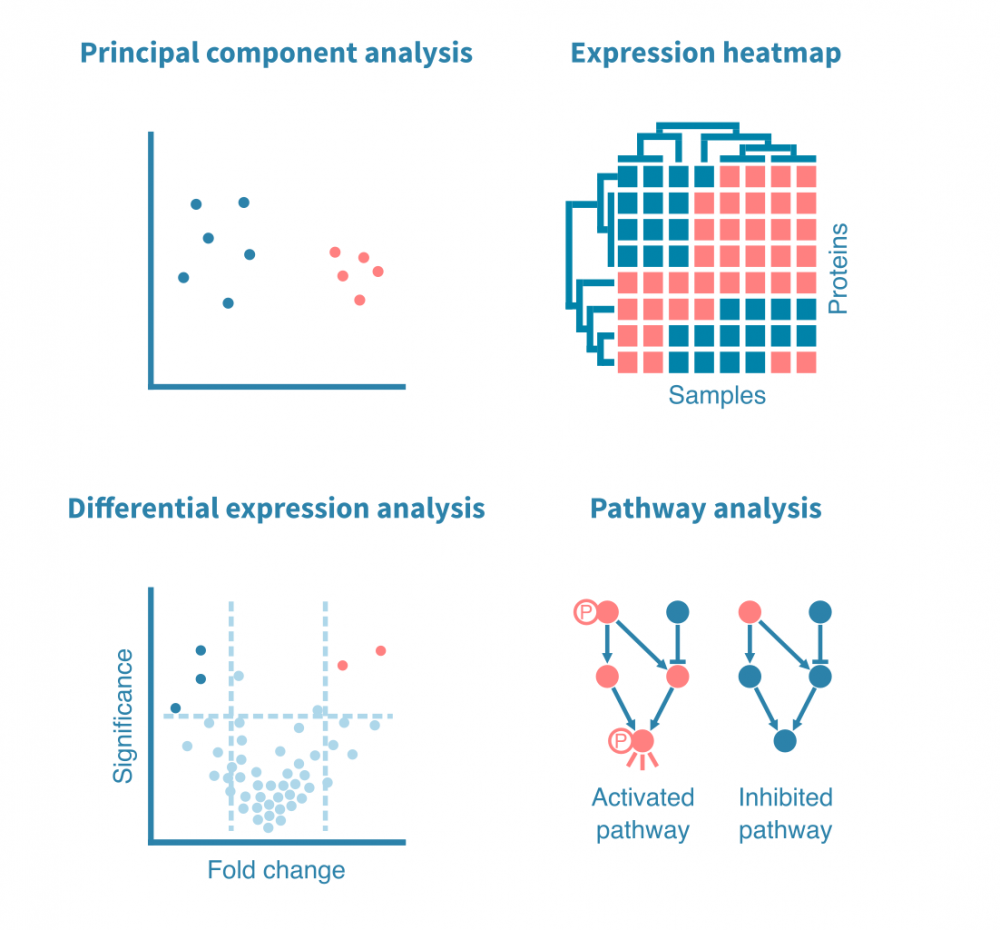 proteomic_analysis.png