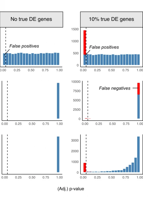What is multiple testing correction?