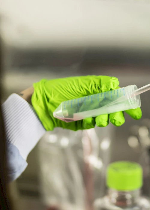 Tailored bioinformatics support for a clinical trial